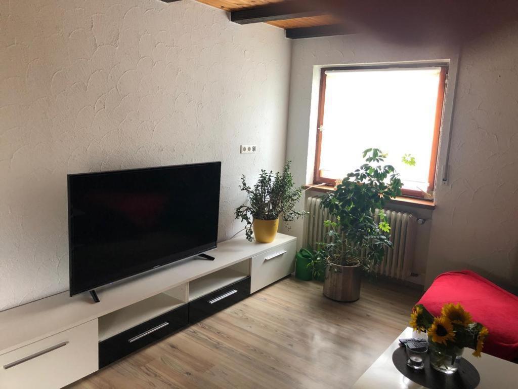Ferienwohnung Zur Sonnenterasse In Gersbach Schopfheim Dış mekan fotoğraf