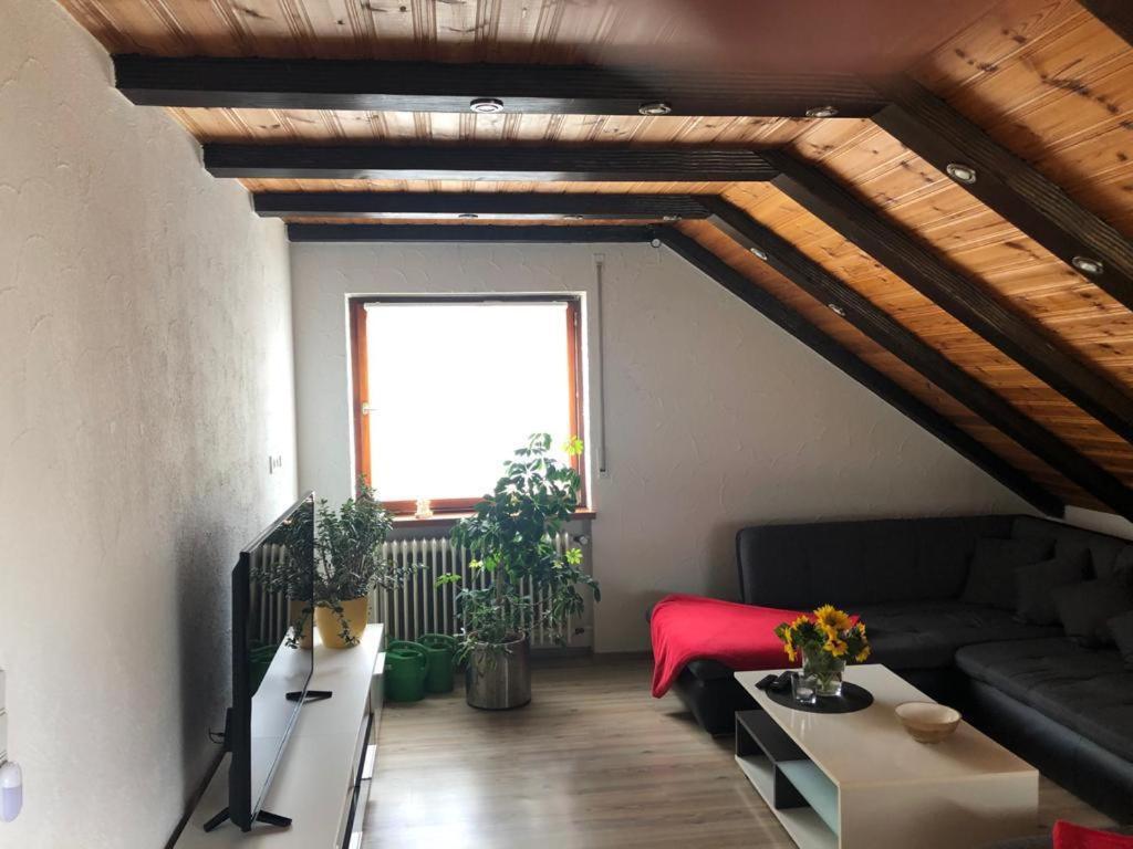 Ferienwohnung Zur Sonnenterasse In Gersbach Schopfheim Dış mekan fotoğraf